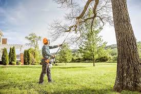 Best Tree Trimming and Pruning  in Roanoke, IN