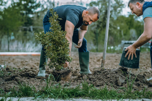 Best Soil Testing and Treatment  in Roanoke, IN