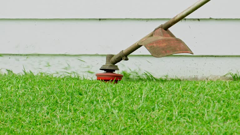 Best Lawn Disease Treatment  in Roanoke, IN